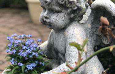 Ferienwohnung Südel - Foto 21