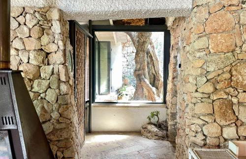 Limonaia in Salento - Foto 76