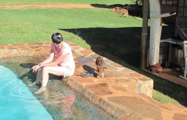 Caracal Lodge - Foto 20