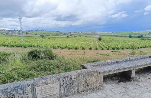 Casa do Cruzeiro - Favaios - Photo 12
