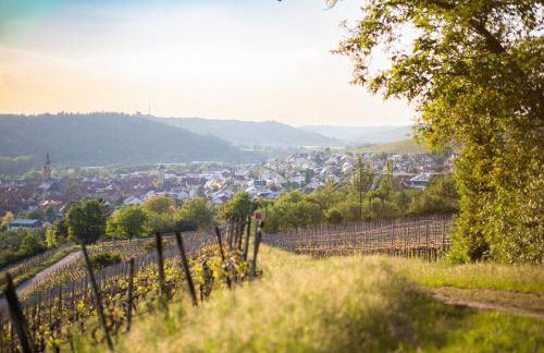 Weingut Leininger Ferienwohnungen - Foto 49