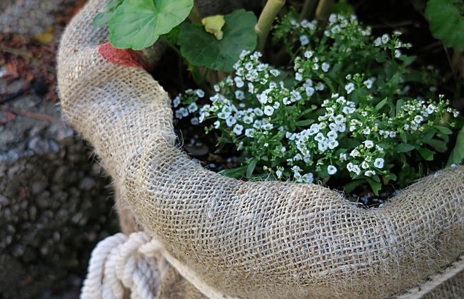 Apartments Vera - Foto 29