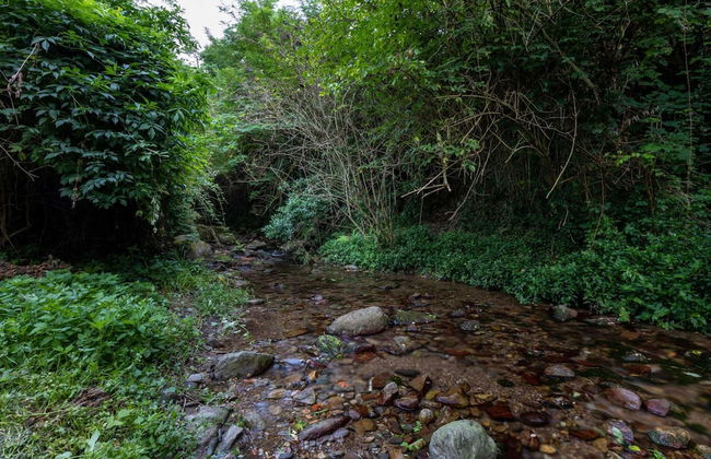 Rio Delle Fate in Vorno - Foto 57