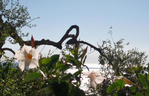 Florinda Lemon's Suite - Foto 33