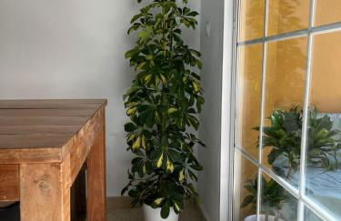 Apartamento La Biznaga - Photo 9