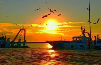 Vacation House a Mola di Bari - Foto 53