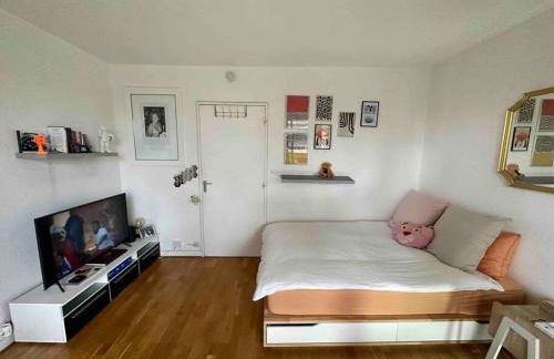 The coziest 1B&B near l'Etoile (Arc de Triomphe) - Foto 7