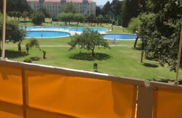 Hortensias de jardín - Photo 1