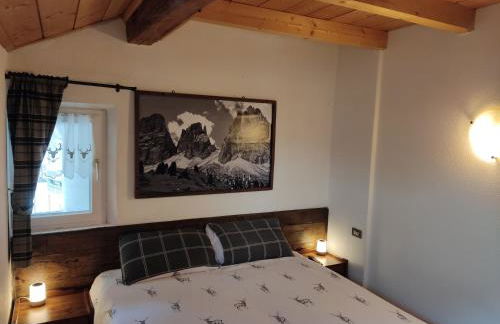 Cèsa Viosadea - Foto 18