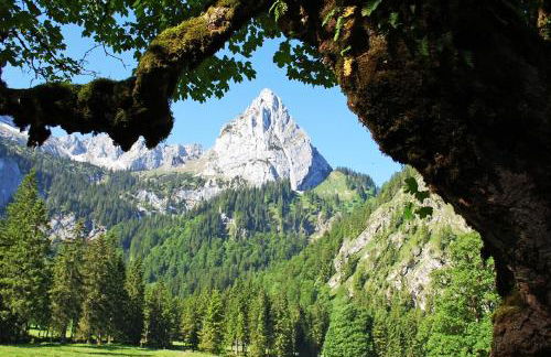 Ferienwohnung Mair - Bergblick - Photo 26