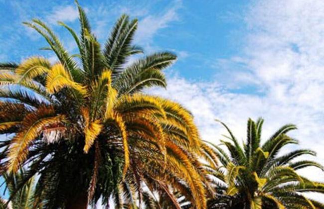 Disney Area Luxury Condo - Foto 13