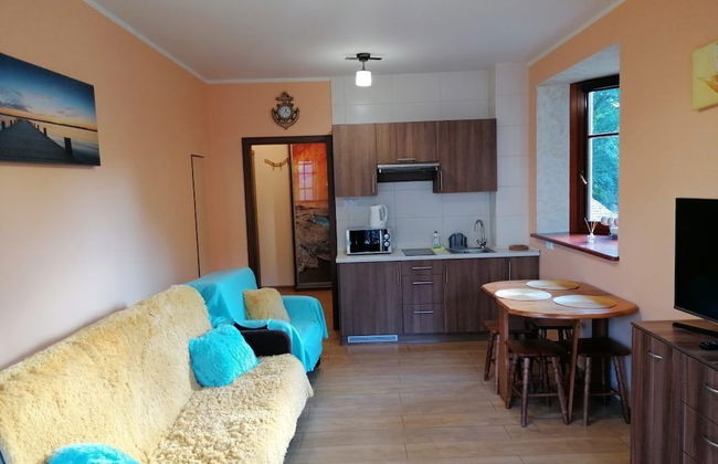 Apartamenty Sun & Snow Willa Hania - Foto 13