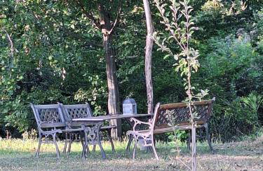 Kuća za odmor uz rijeku Utinju - Foto 24