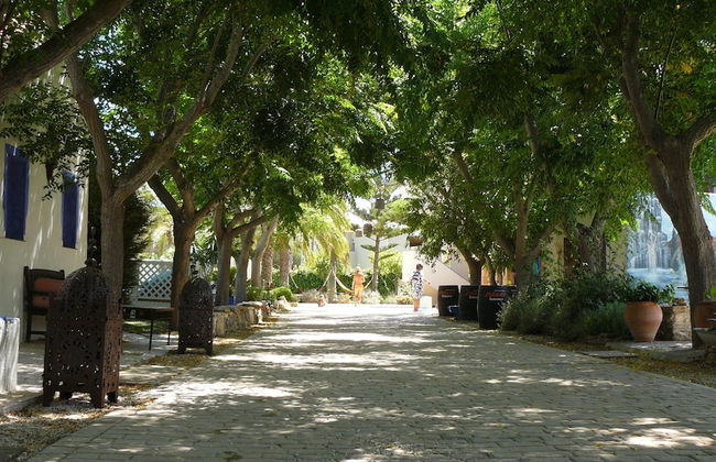 Paraiso Perdido - Foto 62