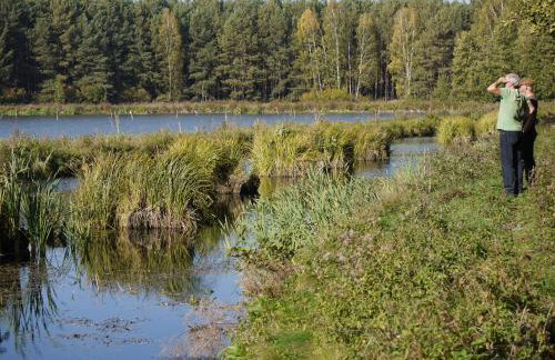 Agroturystyka Polana Harmonii - Foto 34