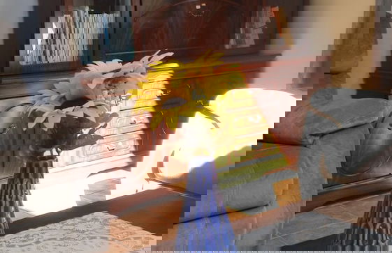 Great view near Rotorua lake - Foto 2