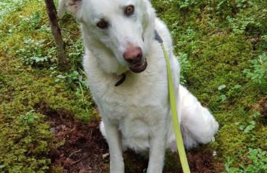 Lüch da Börz - Foto 12