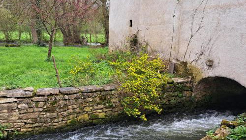 Maison de Preuillé - Foto 2