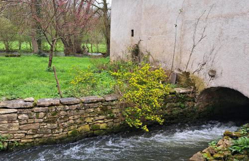Maison de Preuillé - Foto 2
