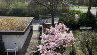 Wohnung zum Wohlfühlen beruflich und privat - Foto 4, Garden view