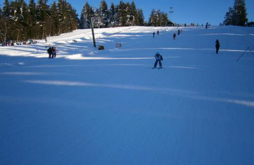 Ferienhaus am Ruhberg - Photo 30