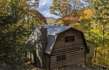 Cabin near Asheville, Hatley Pt, hot tub, views - Foto 42