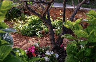 Apartment Marko - Photo 52