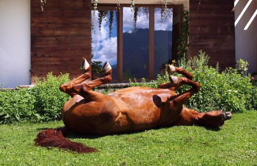 Agritur Artemisia - Photo 15