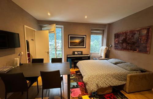 Chamonix city center rue Paccard - Photo 13