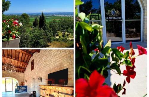 Domaine de la Mautanne - Foto 19