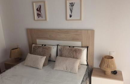 VINO y CAMINO II - Foto 5