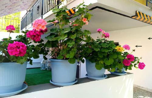 Sofia's Home 9min. Athens Airport - Foto 7