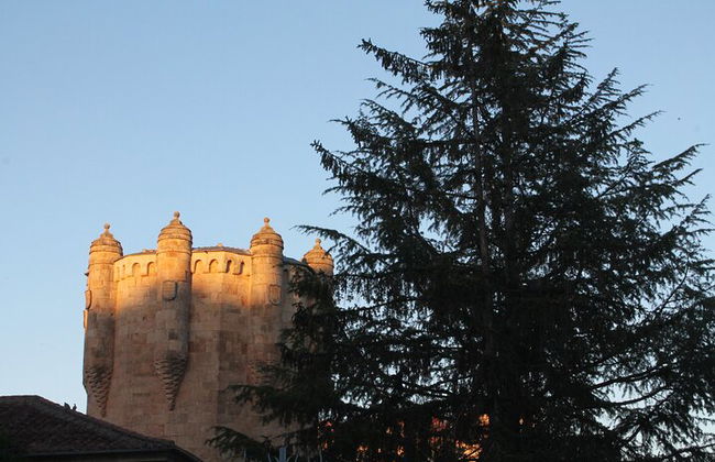 Excursão a pé noturna em Salamanca bilíngue - Foto 4