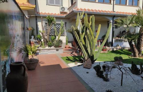 Cactus house - Foto 48