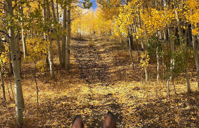 Vista Verde Ranch All-inclusive - Adults Only - Foto 62