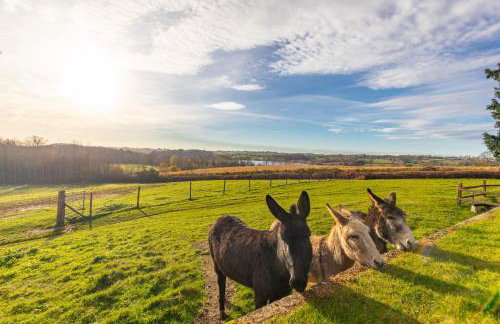 Far Heath House with Hot Tub - Foto 37