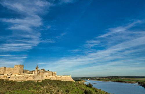 Monte Alecrim - Foto 44