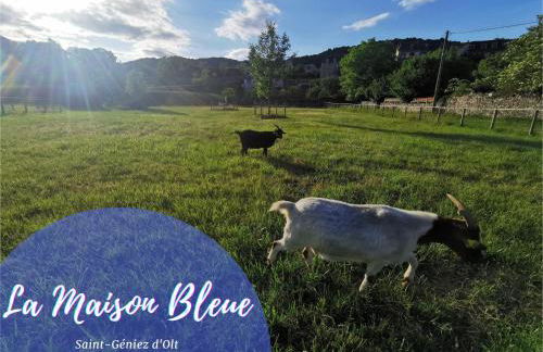 La Maison Bleue, village vacances, piscine, parking - Photo 16