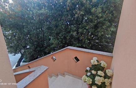 Summer in Mandre - Foto 51