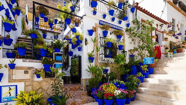 Hola Alicante : Privado 2 - Horas Intro Paseo por la ciudad con guía local - Foto 5