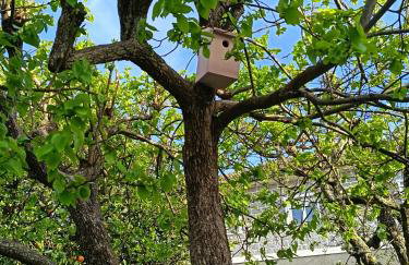 Villa Rosa - Foto 52