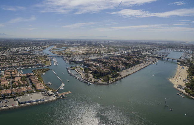 Kayak con leones marinos en Marina del Rey - Foto 5