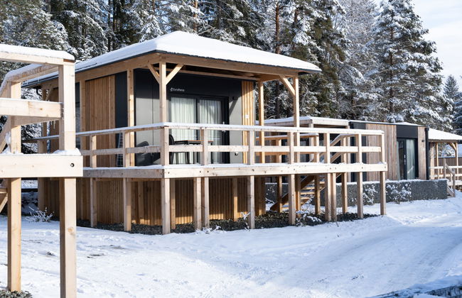 Edelweiss 2 - Foto 2