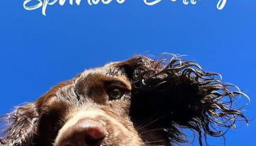 Spaniel Cottage with views of Ham hill, Stoke sub Hamdon - Foto 3