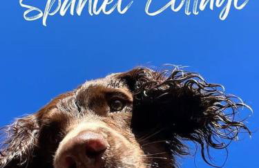 Spaniel Cottage with views of Ham hill, Stoke sub Hamdon - Photo 3