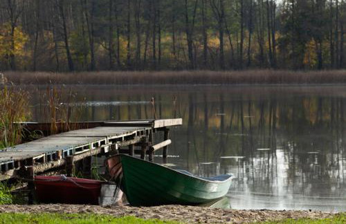 Maly Domek Zalesie - Foto 6