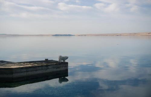 Barić Draga - Foto 24