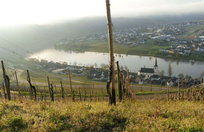 in Landhuisstijl met Uitzicht op de Moezel - Photo 7