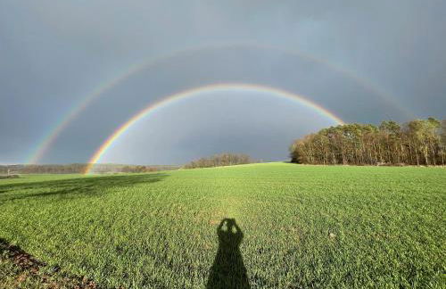 NEU Feinzeit Chalet mit privater Sauna - Foto 42