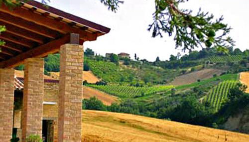 Agriturismo La Cicala - Foto 2